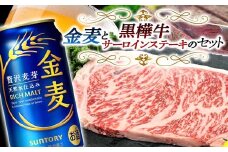 FKK19-04F サントリー 金麦と黒樺牛サーロインステーキセット