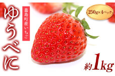 FKK19-815 【3月配送開始】【サイズ混合】嘉島町産ゆうべに 約1kg(250g×4)