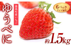 FKK19-817 【3月配送開始】【サイズ混合】嘉島町産ゆうべに 約1.5kg(250g×4、270g×2)