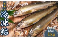 FKK19-829 養殖冷凍鮎 (小:18尾入×1) 1kg