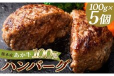 FKK19-998 あか牛100％ハンバーグ（100g×5個）牛 ハンバーグ 牛肉 ビーフ 肉 食品