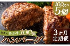 FKK19-999 【3ヵ月定期便】あか牛100％ハンバーグ（100g×5個）牛 ハンバーグ 牛肉 ビーフ 肉 食品