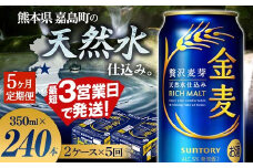 FK7-0080 【5ヶ月定期便】サントリー 金麦 350ml×48缶（2ケース） 熊本県 嘉島町 ビール