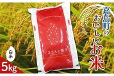 FK7-0194 【令和7年度産】【先行予約】嘉島町のおいしいお米（くまさんの輝き/白米） 5kg