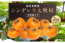 【2024年11月上旬～12月下旬発送予定】シンデレラ 太秋柿 化粧箱入り 小玉 7玉 約2kg