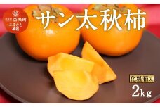 【2024年10月下旬～11月下旬発送予定】サン太秋 化粧箱 大玉 5～6玉 約2kg