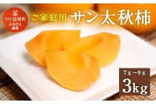 【2024年10月下旬～11月下旬発送予定】家庭用 サン太秋柿 ダンボール入り 超大玉 7~9玉 約3kg