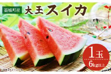 益城町産 スイカ 大玉 1玉 6kg以上 【2025年5月下旬～6月上旬発送予定】