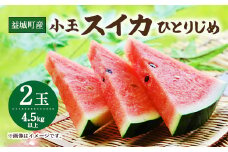 益城町産 スイカ 小玉 ひとりじめ 2玉 4.5kg以上 【2025年5月下旬～6月上旬発送予定】