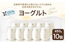 石坂ファーム 生乳100％ ヨーグルト 450g×10個 計4.5kg