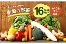 季節の野菜 16品目 セット 野菜 詰め合わせ おまかせ 冷蔵 国産