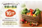 【定期便6回】季節の野菜 16品目 セット 野菜 詰め合わせ おまかせ