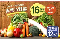 【定期便12回】季節の野菜 16品目 セット 野菜 詰め合わせ おまかせ