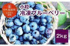 【2022年8月下旬発送開始】 熊本産 小粒 冷凍 ブルーベリー 2kg