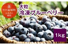【2022年8月下旬発送開始】 熊本産 大粒 冷凍 ブルーベリー 1kg