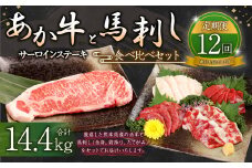 【定期便12か月】サーロイン肉 1kg (5枚～6枚) 馬刺し 200g( 赤身 100g 霜降り 50g たてがみ 50g) 食べ比べ セット