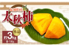 【2023年10月下旬発送開始】 益城産 太秋柿 秀品 約3kg 柿 8~14玉 果物