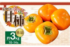 【2023年10月上旬発送開始】 益城産 ばってん甘柿 秀品 約3kg 柿 10~14玉 果物