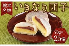 キムチの里 オリジナル 熊本名物 いきなり団子 25個入り