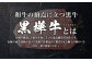 くまもと黒毛和牛 杉本本店 黒樺牛 A4~A5等級 肉厚サーロインステーキ 300g×2 計600g