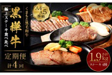 【4回定期便】くまもと黒毛和牛 杉本本店 黒樺牛 A4~A5等級  極上ステーキ食べ比べ 定期コース
