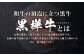 【3回定期便】くまもと黒毛和牛 杉本本店 黒樺牛 A4~A5等級 ヒレステーキ定期便 400g×3回