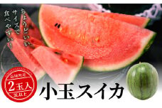 小玉スイカ 3Lサイズ以上 2玉入り 益城町 すいか 果物 フルーツ【2024年5月下旬-2024年7月下旬発送予定】