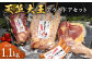 天草大王 【アウトドアセット】 幻の鶏 キャンプ BBQ 骨付 きもも肉 (500g) 大手羽先 ソーセージ ブツ切りミックス