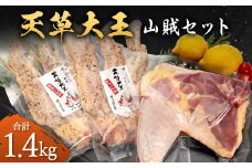 天草大王 【山賊セット】 幻の鶏 キャンプ BBQ 骨付き もも肉 (800g) 大手羽先 (3本×2) セット 鶏肉