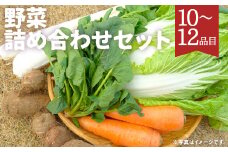 【農家直送】野菜 詰め合わせ セット 10品目～12品目