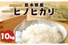 熊本県産 ヒノヒカリ 10kg 令和4年産 米 白米