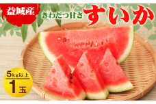 【2024年3月下旬発送開始】益城産 西瓜 約5kg以上 1玉入り