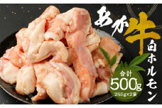熊本県産 あか牛 白ホルモン 小腸 希少部位 500g 牛肉