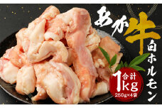 熊本県産 あか牛 白ホルモン 小腸 希少部位 1kg 250g×4袋 牛肉