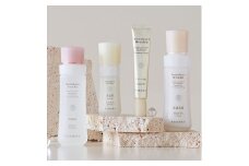 再春館製薬所 ドモホルンリンクル 基本4点 セット 保湿液 美活肌エキス クリーム20 保護乳液