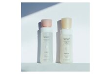 再春館製薬所 ドモホルンリンクル 基礎 セット