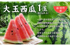 【2023年5月上旬発送開始】益城町産 大玉 西瓜 1玉 8kg以上 すいか 熊本県