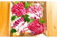 桜牧場 4種 馬刺し 食べ比べ セット 上赤身・フタエゴ・馬ヒレ・馬ヒモ  計約600g