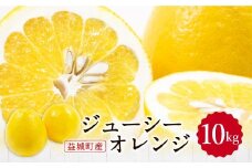 【2024年3月上旬発送開始】ジューシーオレンジ 約10kg 柑橘類 晩柑 熊本県産