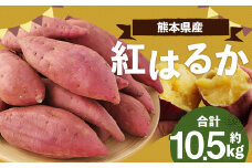 【2023年11月下旬発送開始】熊本産 紅はるか 約10.5kg