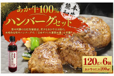 あか牛 100％ ハンバーグ セット 約120g×6個 あか牛のたれ200ml付き