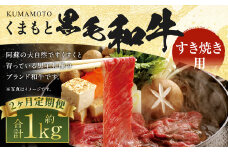 【定期便2回】くまもと 黒毛和牛 すきやき用 約500g