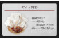 鮮馬刺し 霜降り カルビ ユッケ 7個 セット 計280g 馬刺し