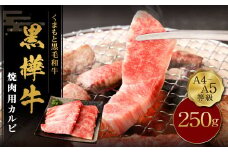 くまもと黒毛和牛 杉本本店 黒樺牛 A4~A5等級 焼肉用カルビ 250g