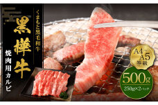 くまもと黒毛和牛 杉本本店 黒樺牛 A4~A5等級 焼肉用カルビ 250g×2 計500g