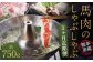 【3か月定期便】 熊本産 馬肉のしゃぶしゃぶ 約750g（約250g×3か月）
