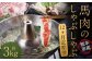 【12か月定期便】 熊本産 馬肉のしゃぶしゃぶ 約3kg（約250g×12か月）