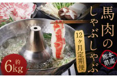 【12か月定期便】 熊本産 馬肉のしゃぶしゃぶ 約6kg（約500g×12か月）
