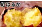 訳あり 紅はるか 約10kg