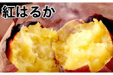 訳あり 紅はるか 約5kg